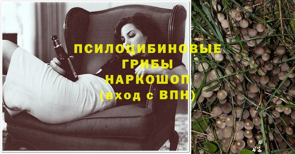 гидра Балабаново