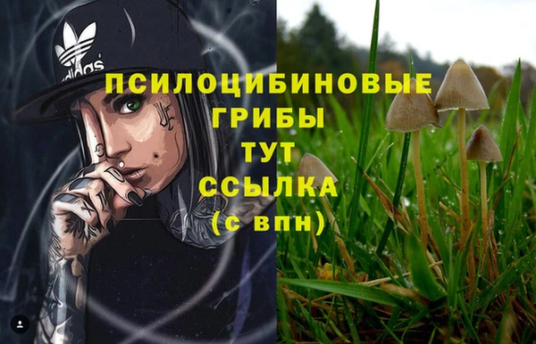 прущие крисы Баксан